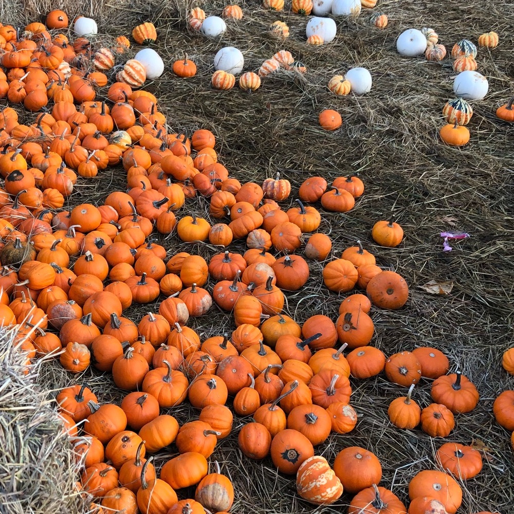 Meet your Posher, Nana